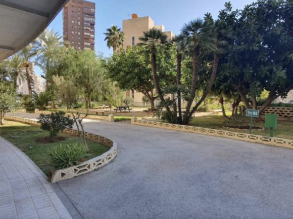 Appartement Odeman Benidorm Levante